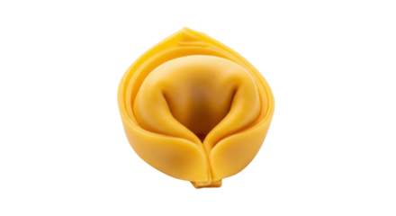 Isolated single tortellino pasta, traditional Italian cuisine and food preparation