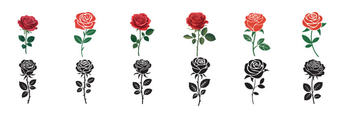 vector illustration of tulips