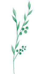 Green Leaf Branch Watercolor Texture PNG Decoration, on Transparent Background