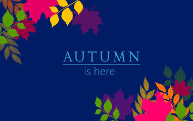 Autumn leaves background