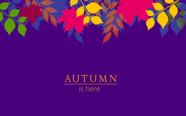 Autumn leaves background