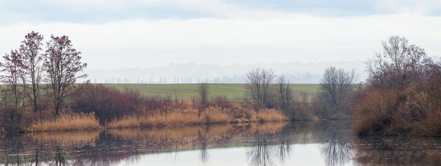 A widescreen rural landscape of the cold season: water of a river or lake reflects bare trees and bushes with red-brown foliage, a green field on the horizon in the mist under an overcast sky