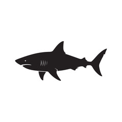 shark vector illustration