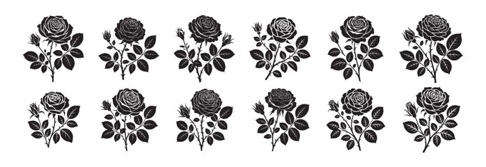 Minimalist Rose Clipart Bundle in Black and White