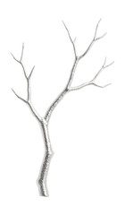 Fototapeta premium Sleek decorative branch with silver bark, perfect for enhancing modern minimalist spaces.