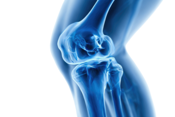 A side profile of a human knee joint in ethereal blue, highlighting its skeletal structure