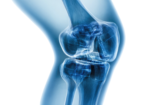 Medical illustration, X-ray view, human knee joint in blue tones, shows bone structure