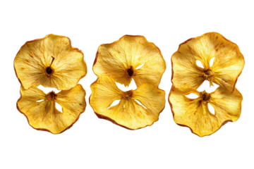 Six dehydrated apple slices, arranged closely against a stark black backdrop. Their textures are detailed