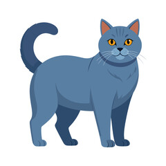 Fototapeta premium Cartoon Blue Cat with Amber Eyes Standing Alertly