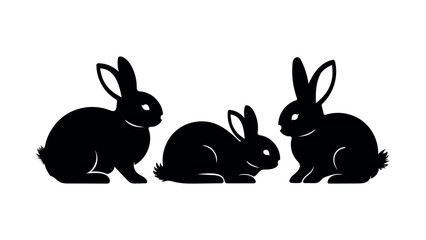 rabbits bunnies hares animals