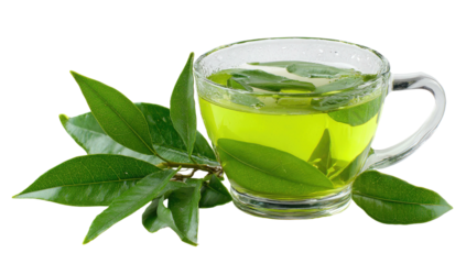 A glass mug with green liquid and green leaves resting on a surface; transparency