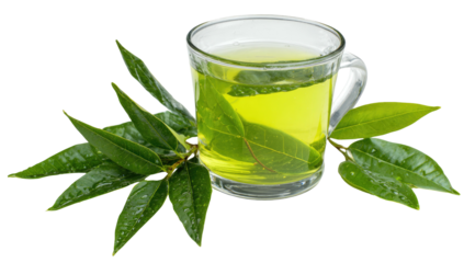 Clear glass mug filled with yellow liquid, leaves arranged around it. Isolated with a shadow