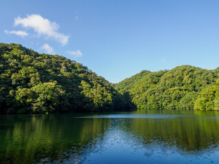 Fototapeta premium 兵庫県神戸市の布引貯水池