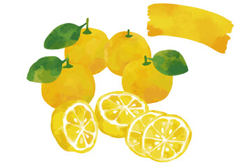 水彩風 柚子のイラストセット1（葉っぱ付きあり）Winter Fruits Series:Watercolor style Yuzu illustration set (with leaves)