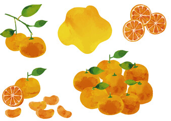 水彩風 温州みかんのイラストセット（葉っぱ、枝付きあり）Winter Fruits Series:Watercolor style Unshu mandarin orange illustration set (with leaves and branches)