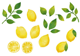 水彩風 レモンのイラストセット（葉っぱ付きあり）Winter Fruits Series:Watercolor lemon illustration set (with leaves)