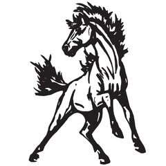 Wild horse vector drawing in monochrome style symbolizing strength freedom and motion