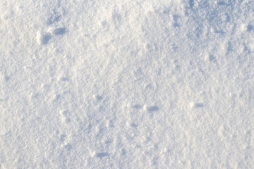 Snow white texture of fresh snow. Detailed texture and background of freshly fallen snow cover with icy granules, illuminated by the winter sun, perfect for abstract design and natural purity