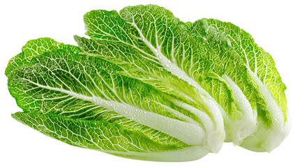 Fresh green leafy vegetables, featuring detailed veining and water droplets, isolated on black