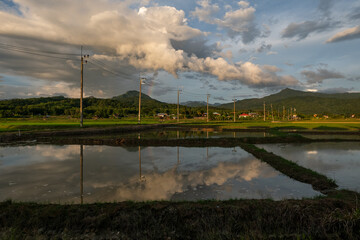 A picturesque scenery of rice paddy fields in the evening with amazing sky reflection