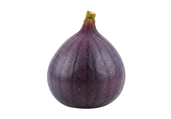 Isolated fruit, one fresh fig, ripe whole fruit with stem, nutritious and delicious