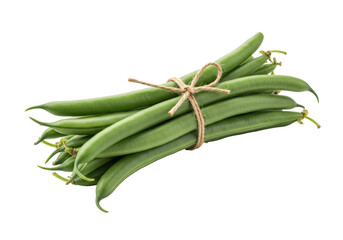Isolated fresh green beans tied with twine, healthy vegetarian ingredient