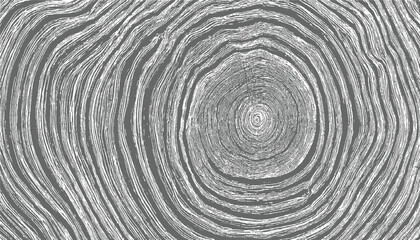 Gray white wood grain texture background natural