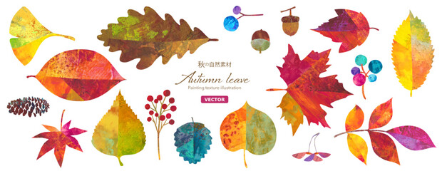秋の紅葉した、森の自然素材イラストセット。紅葉やどんぐりなどの木の実。カラフルなペインティングテクスチャのイラスト。（ベクター）