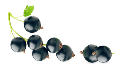 close up photograph of black currants on a stem with a single green leaf attached, showcasing the...