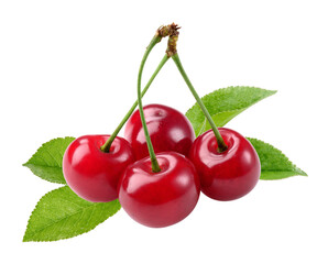 realistic photograph of four brilliant red cherries grouped together with green leaves and stems, captured with excellent detail and vibrant color against a dark backdrop.