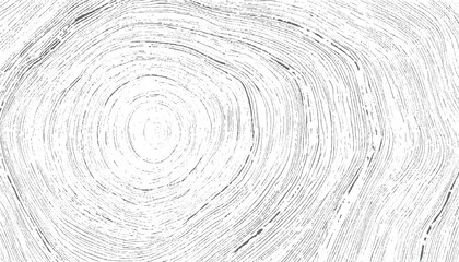 Abstract concentric lines texture background black