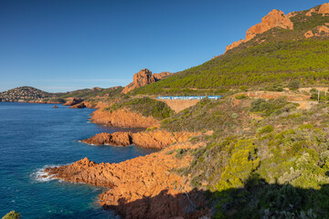 Fototapety na wymiar - Fototapeta24.pl