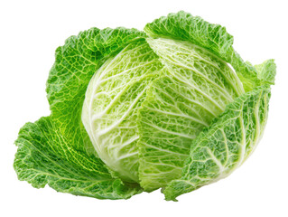 Obraz premium Savoy Cabbage Head Fresh Vegetable Isolated: Vibrant Green Organic Leafy Brassica oleracea Close-up, Ready for Cooking and Nutritional Eating, Healthy Garden Harvest