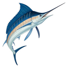 a blue marlin fish blue marlin fish