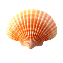 Obraz premium Seashell isolated PNG, studio soft light, warm tone, transparent background.