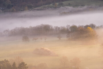 Fototapeta premium Burgruine Drachenfels in Busenberg im herbstlichen Pfälzerwald beim Sonnenaufgang mit Nebel