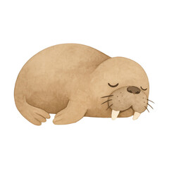 Obraz premium PNG Adorable sleeping walrus illustration.