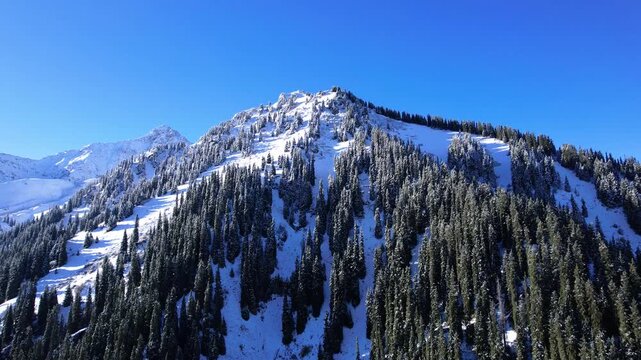 Breathtaking Snow-Capped Mountain Landscape Under Clear Blue Sky Showcasing Majestic Pine Forests and Scenic Alpine Terrain in Winter Wonderland