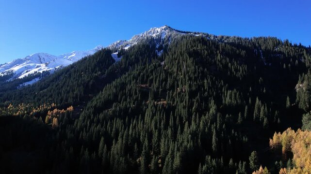 Breathtaking Mountain Landscape with Majestic Peaks, Lush Evergreen Forests, and Stunning Contrasts of Snow-Capped Summits Under a Clear Blue Sky