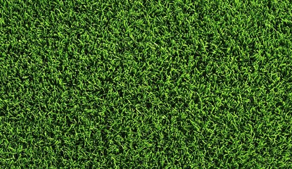 Fototapeta premium top view of green grass texture, a background for a sports field such as football or soccer, with a uniform green color, a perfect horizontal backdrop, suitable for a banner or wallpaper. 