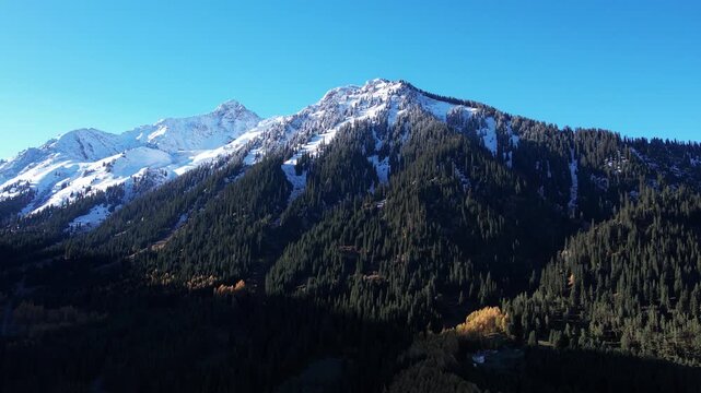 Stunning Aerial Views of Snow-Capped Mountains Surrounded by Vibrant Forests Under a Clear Blue Sky Capturing Nature's Majestic Beauty and Serenity