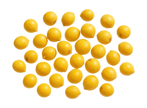 Millet seeds attract small birds, like sparrows, when offered in hanging feeders.