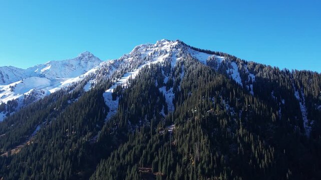 Majestic Snow-Capped Mountains Surrounded by Dense Pine Forests Beneath a Clear Blue Sky, Showcasing Nature's Breathtaking Beauty and Tranquility