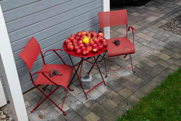 Sitzecke mit Äpfeln und einer Quitte auf einem Gartentisch