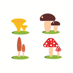vector illustration, mushrooms set Vector
