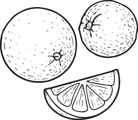 Black and white hand-drawn vector illustration of an orange slice. Minimal line art doodle perfect for winter drinks, mulled wine recipes, eco Christmas and natural product design.