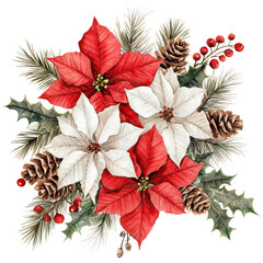 vibrant arrangement of red and white poinsettias, pinecones, and holly, the beauty of festive floral elements. ,watercolor clip art isolated on white background