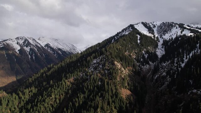 Breathtaking Aerial View of Snow-Capped Mountain Peaks Surrounded by Dense Evergreen Forests Under Dramatic Cloudy Skies Captured in Stunning Detail