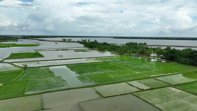Agricultural fields submerged in flood caused by collapse of river embankment due to strong tidal surge, Satkhira region, Bangladesh, Drone shot