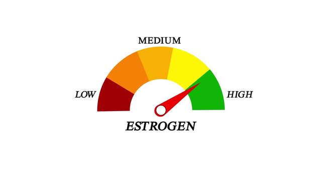 Estrogen Hormone Indicator Animation. Animated estrogen level meter decreasing from normal to low level, for concepts related to low estrogen, hormone imbalance .